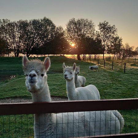 Hof Van Maldegem Kortgene Dış mekan fotoğraf