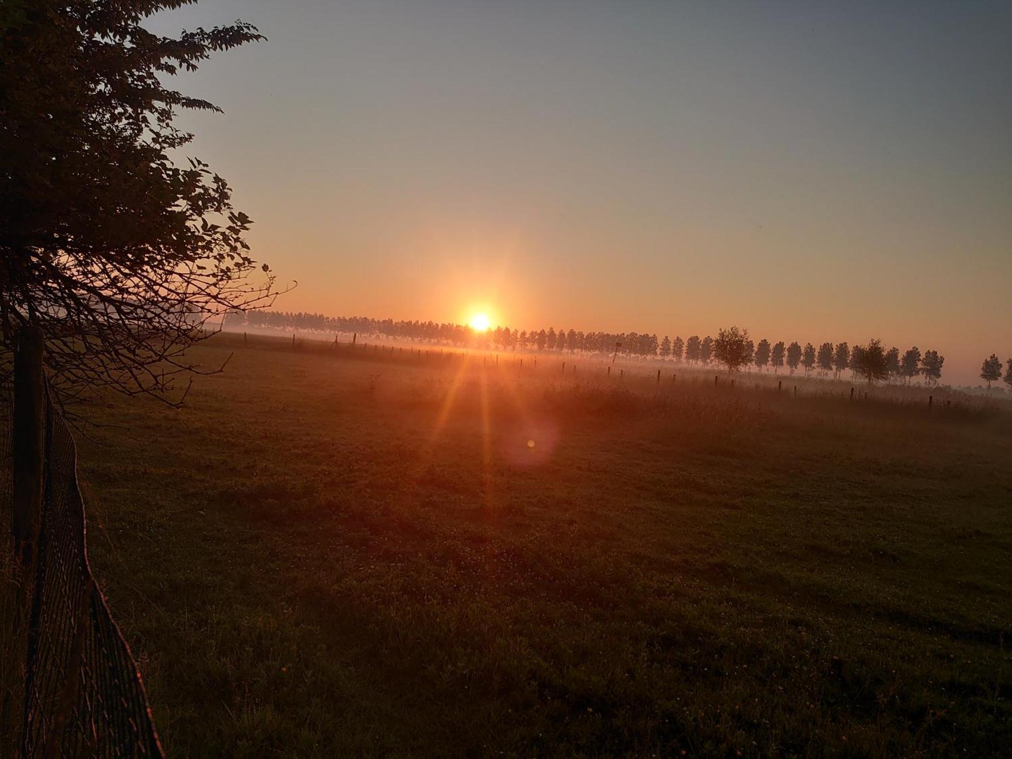 Hof Van Maldegem Kortgene Dış mekan fotoğraf